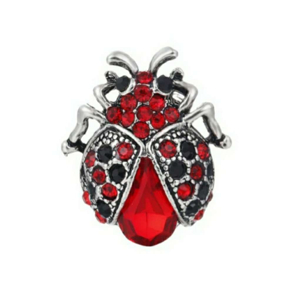 Red And Black Ladybug Brooch